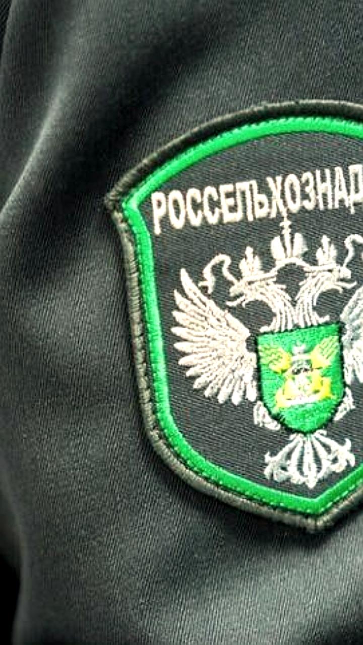 Россельхознадзор выявил нарушения в животноводческих хозяйствах Юга России