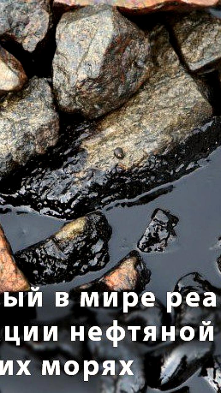 Российские ученые разработали уникальный реагент для ликвидации нефтяных пленок в тропиках