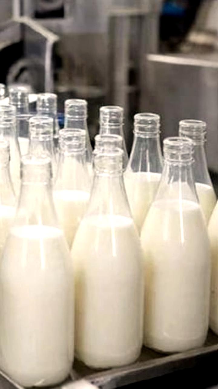 В Свердловской области и Башкирии запланированы крупные инвестиции в молочное производство