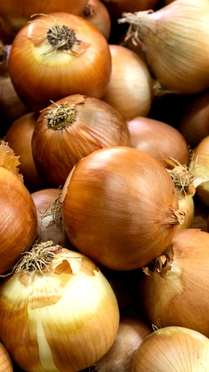 Чувашия и Калужская область увеличивают экспорт продукции АПК в страны СНГ