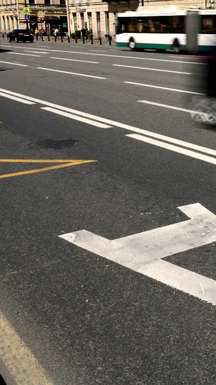 Правительство рассматривает возможность допуска туристических автобусов на выделенные полосы