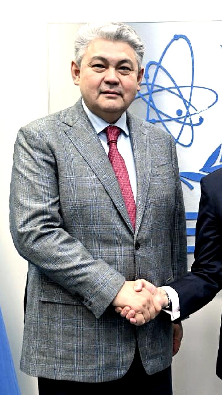 Плановая ротация инспекторов МАГАТЭ на Запорожской АЭС завершена