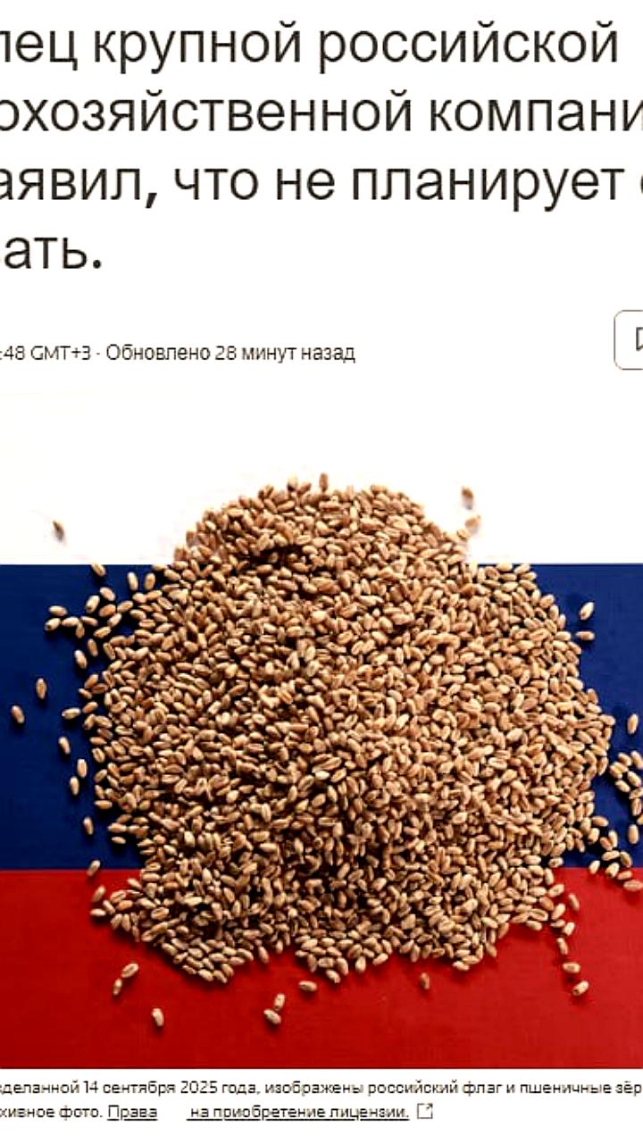 NCH Capital подтверждает сохранение доли в АгроТерра