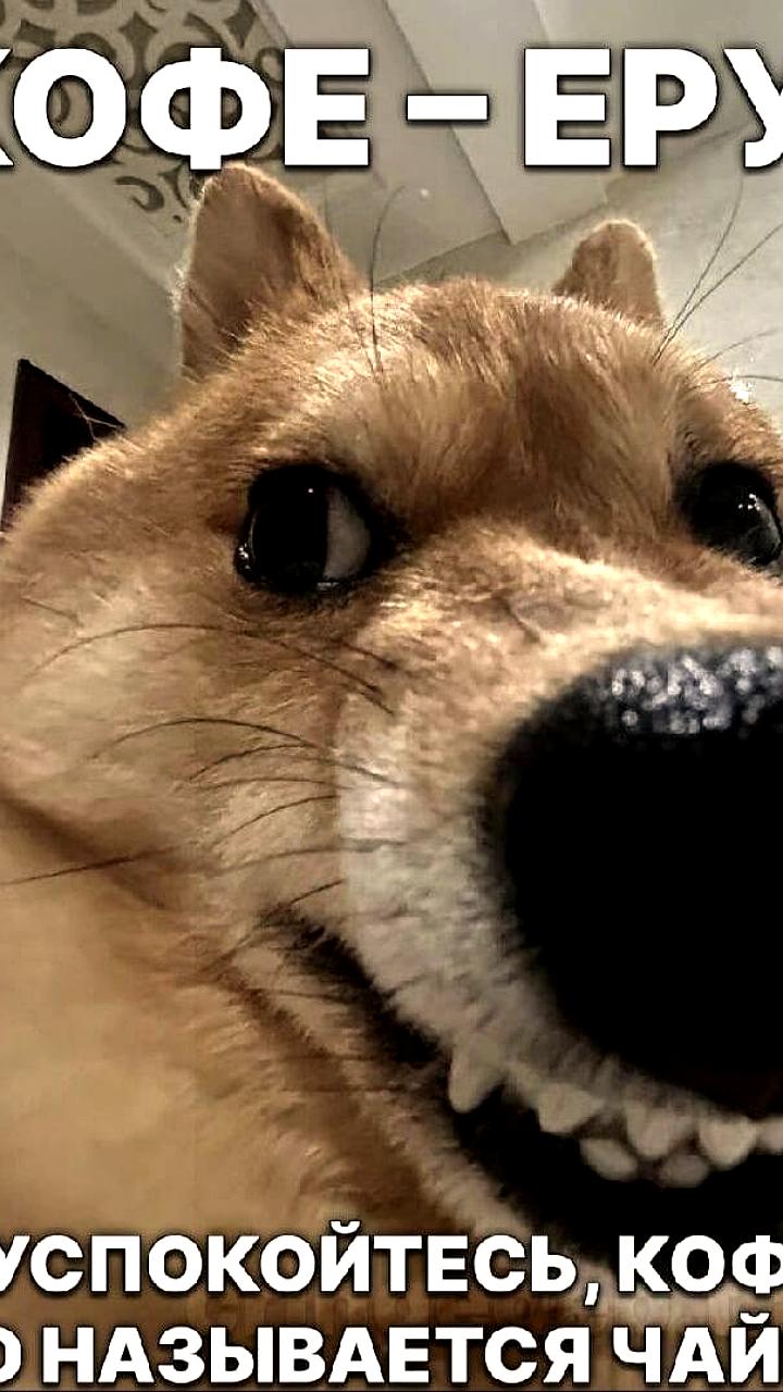 Исследование: Кофе улучшает качество сна, несмотря на сокращение его продолжительности