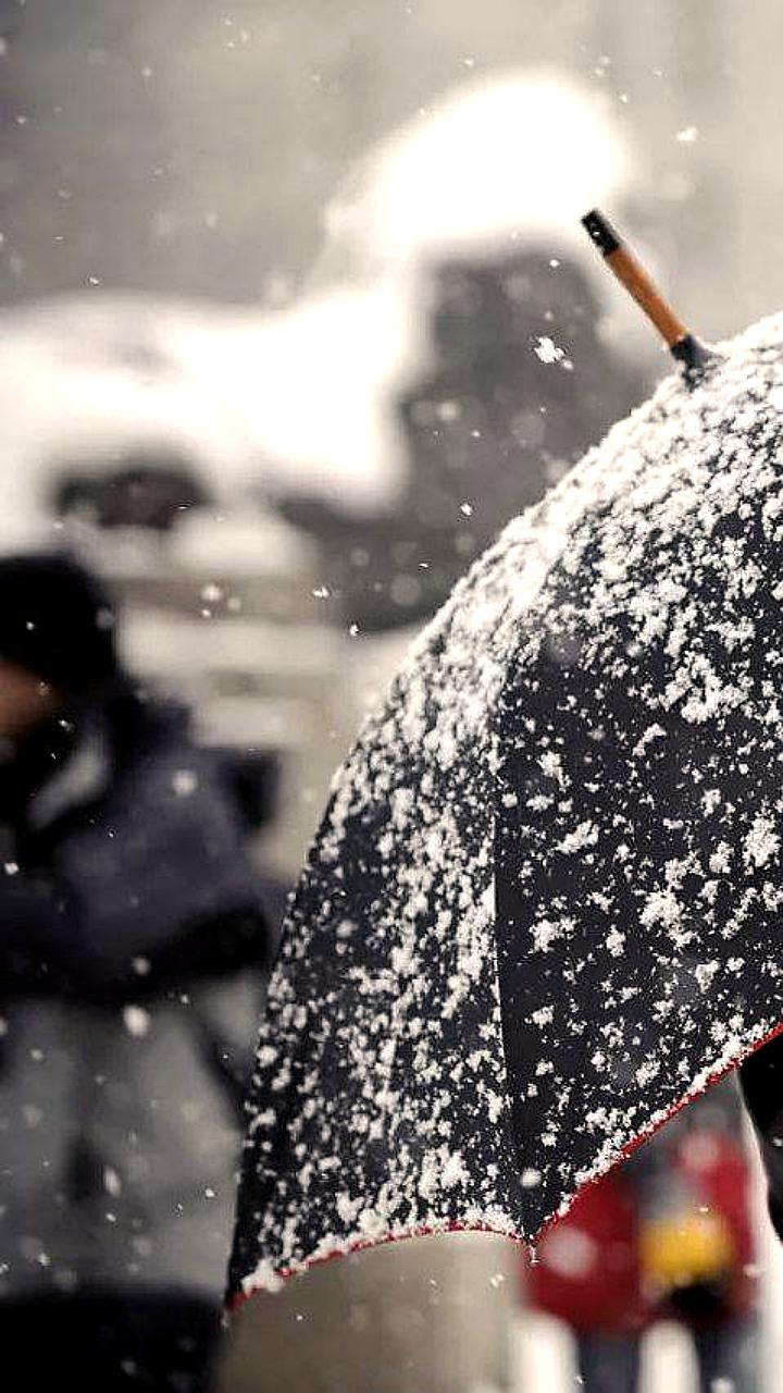 МЧС предупреждает о сложных погодных условиях в Ярославле и Санкт-Петербурге 7 декабря