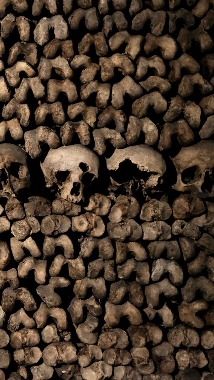 Вулканическая активность и торговля зерном: предпосылки эпидемии Черной смерти в Европе