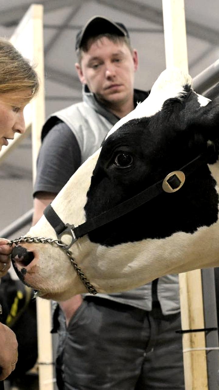 Правительство выделяет более полумиллиарда рублей на инфраструктуру Дальнего Востока