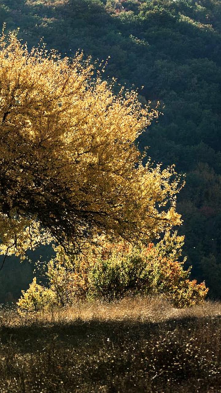 Создание национального парка Святые горы в Донецкой и Луганской народных республиках