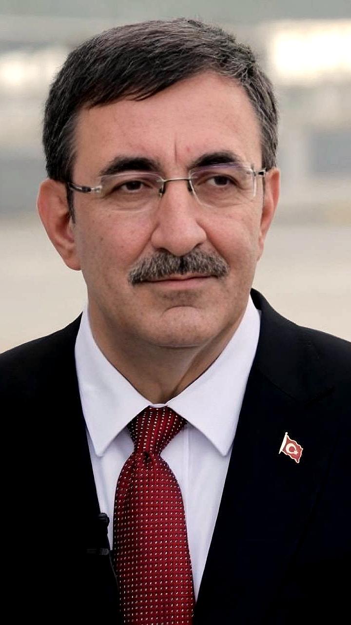 Вице-президент Турции связывает экономические проблемы с недоверием граждан