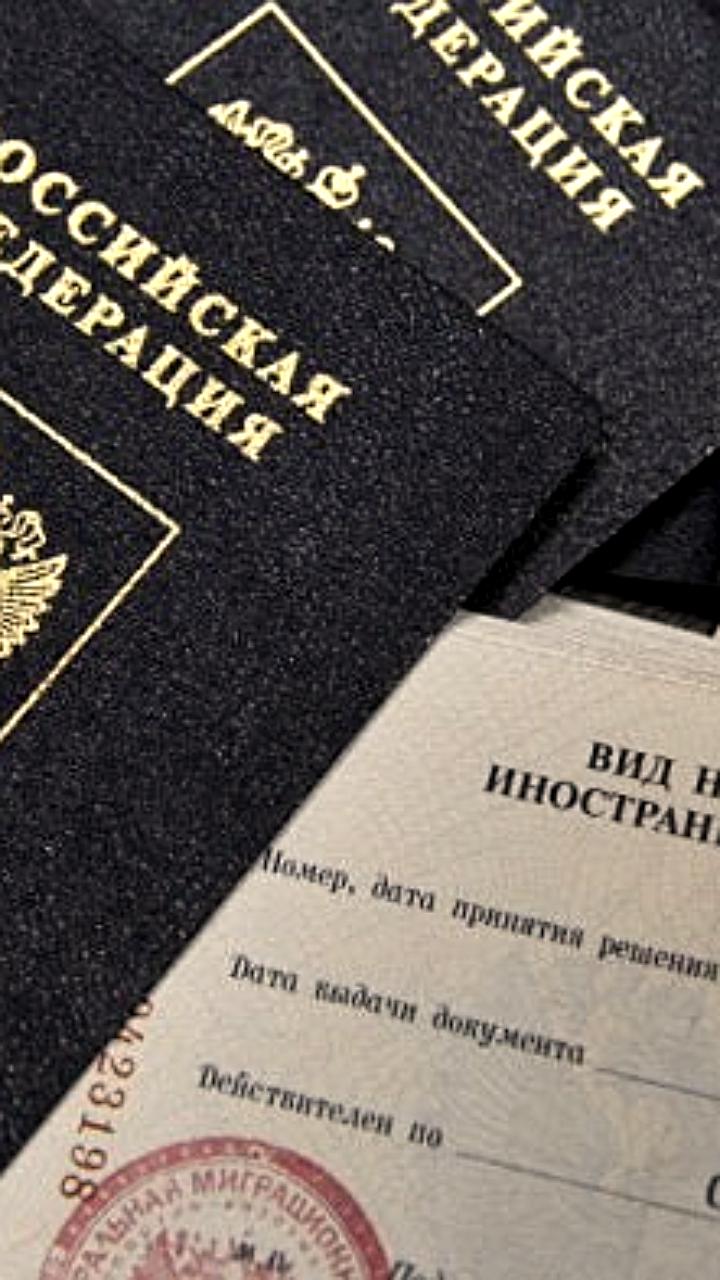 Сирийцы лидируют по числу запросов на убежище в России в 2025 году