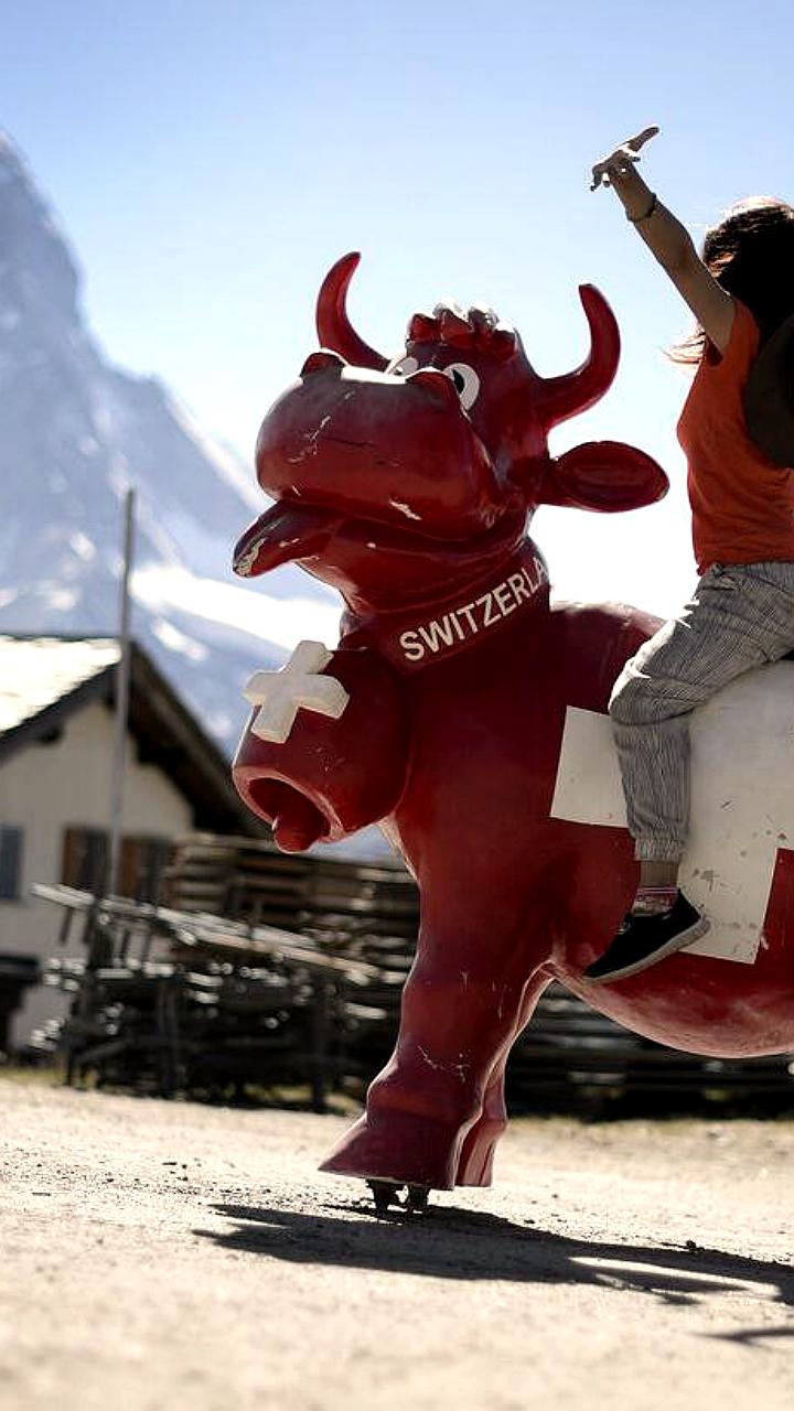 Опрос: почти 50% швейцарцев поддерживают инициативу Народной партии по ограничению численности населения