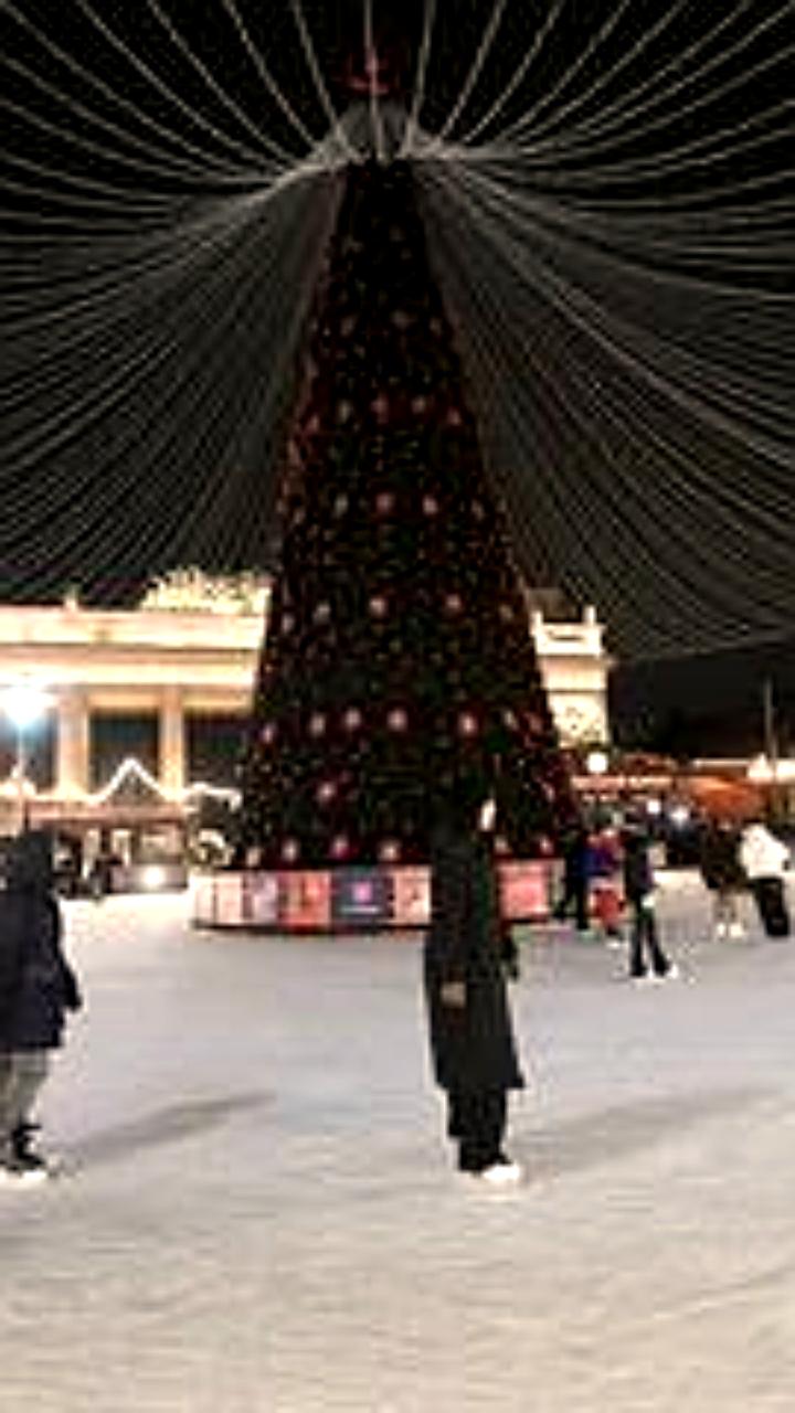 Большинство россиян и воронежцев встречают Новый год с положительными эмоциями