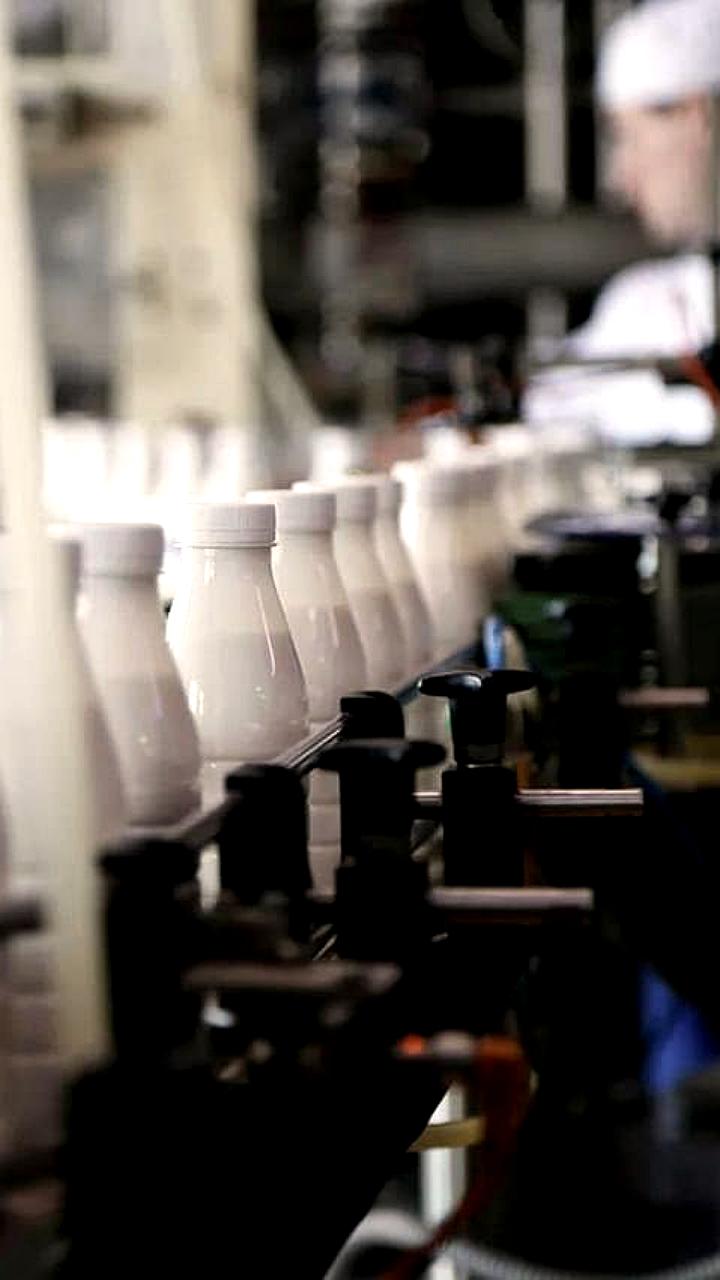 Более полумиллиарда молочных продуктов не проданы в России из-за нарушений маркировки