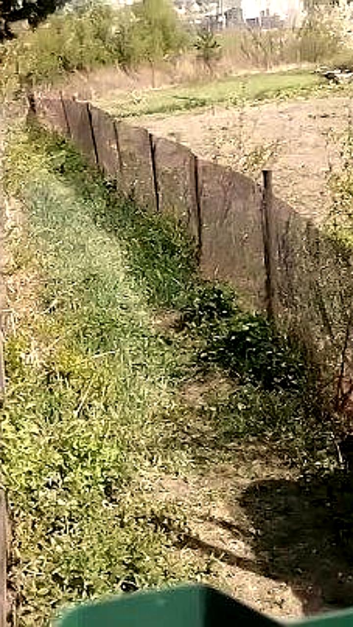 В Подмосковье легализуют самозахваченные земли: 1714 случаев зафиксировано