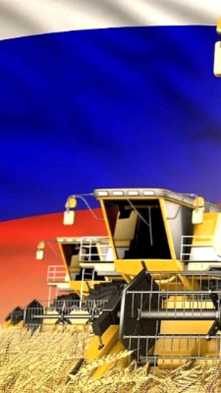 Экспорт продукции АПК из России в ЕАЭС за 9 месяцев 2025 года вырос на 17%