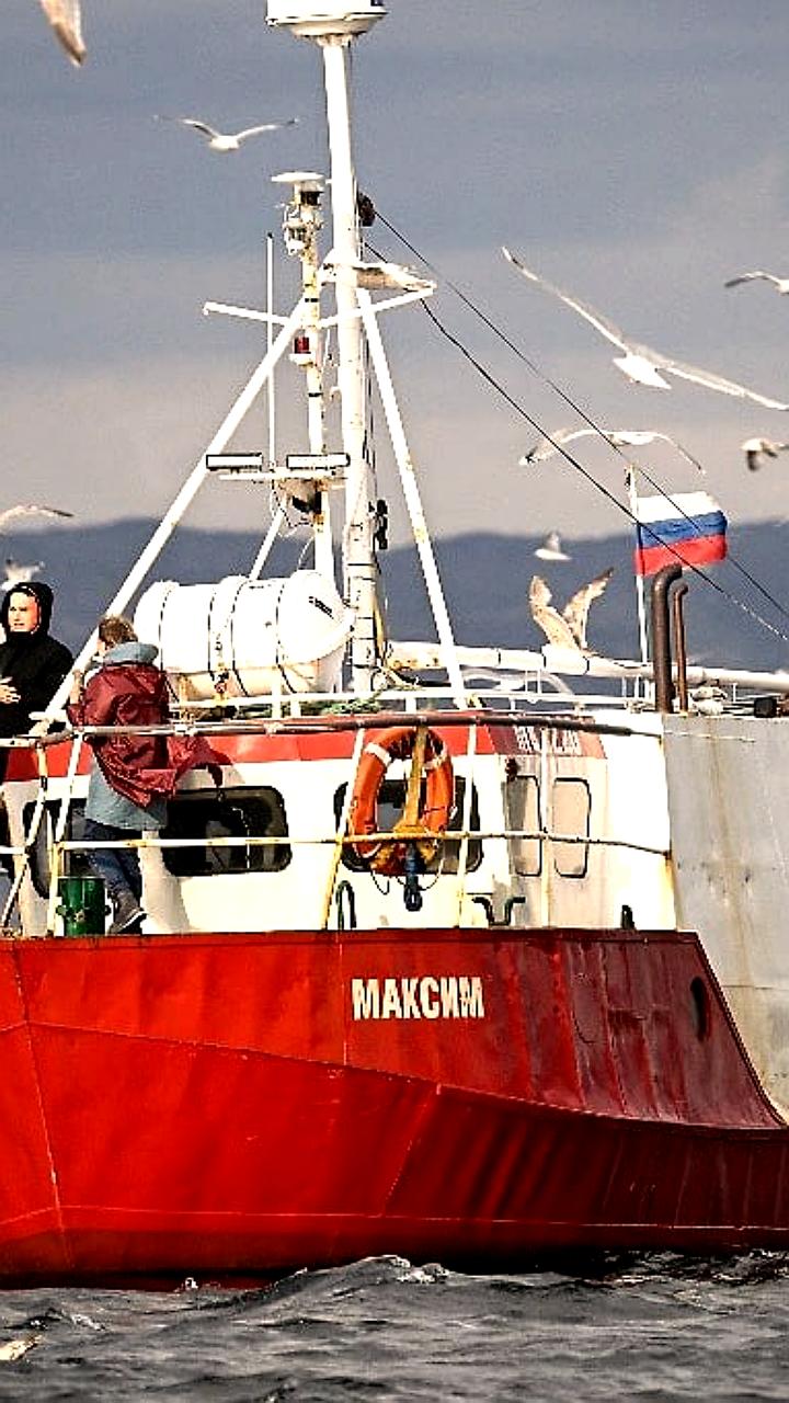 Онлайн-заседание российско-норвежской комиссии по рыболовству: обсуждение квот на улов