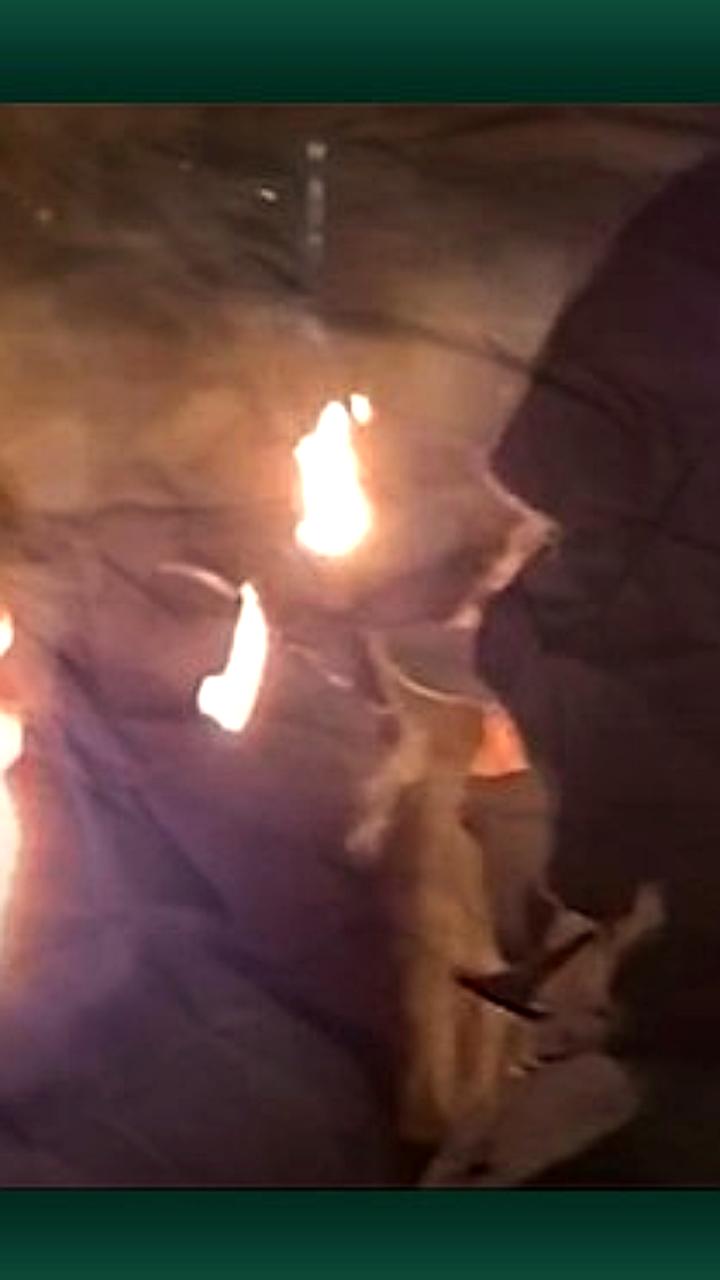 В Швеции прошел первый за 15 лет неонацистский марш с участием 150 радикалов