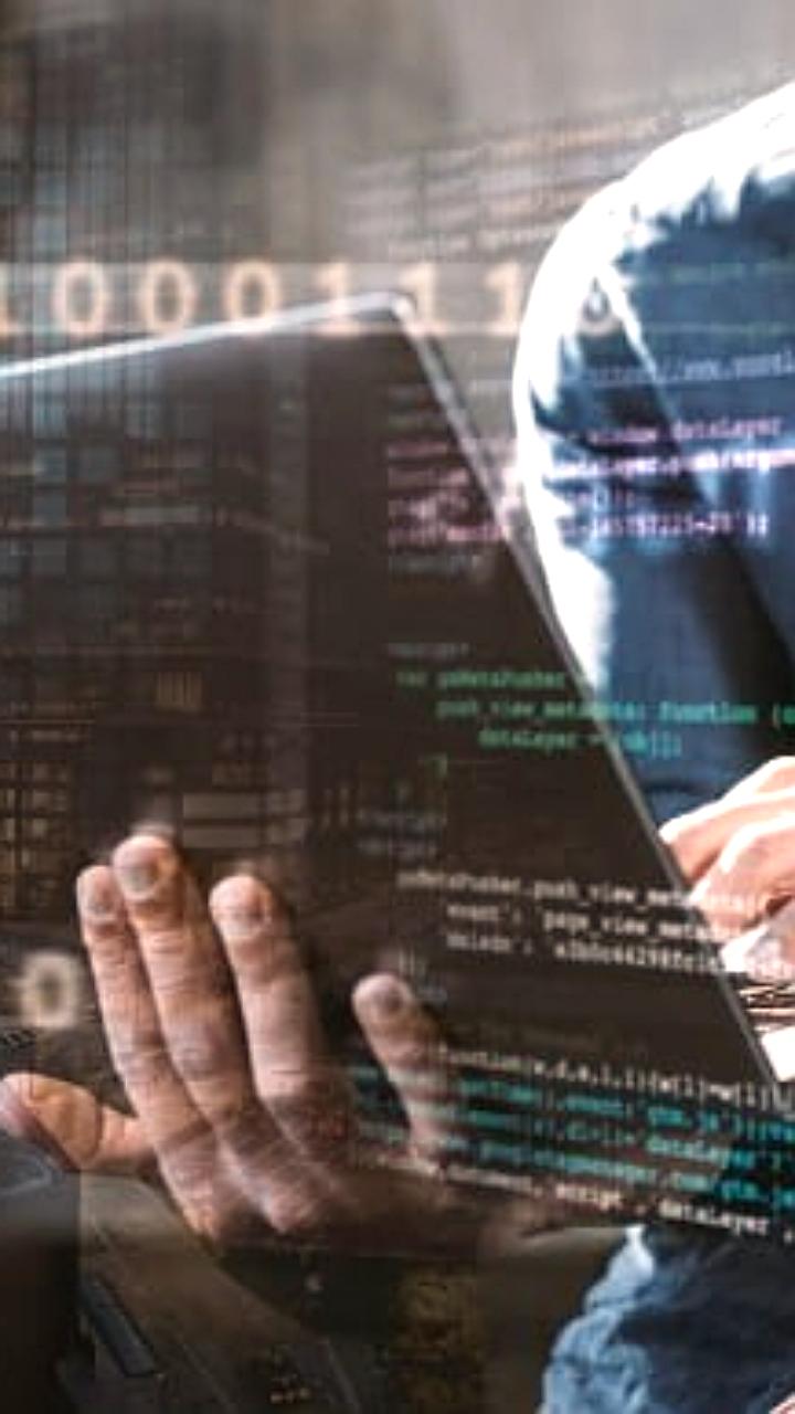 Правительство РФ утвердило новые правила формирования реестра доверенного ПО