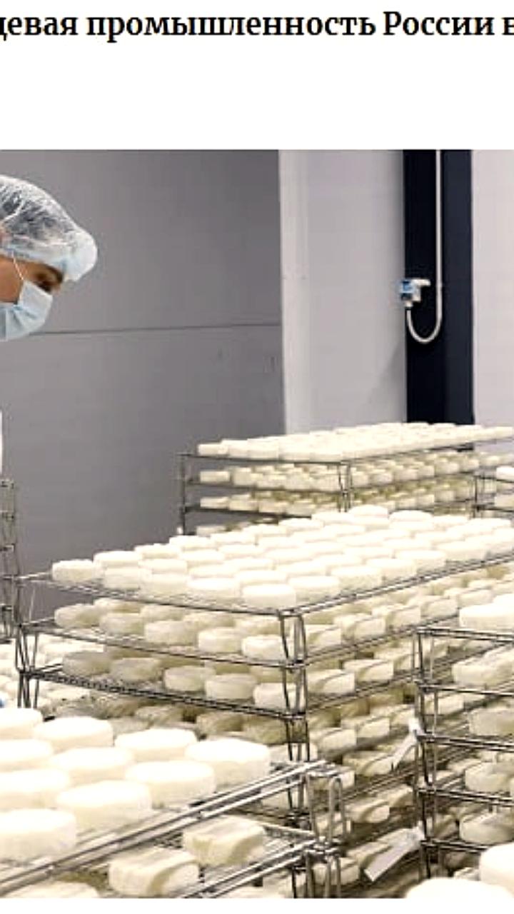 Снижение производства продуктов питания в России впервые за 15 лет