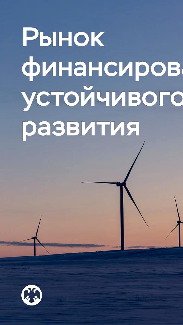 Объем рынка устойчивого финансирования в России вырос на 27% благодаря мерам Банка России