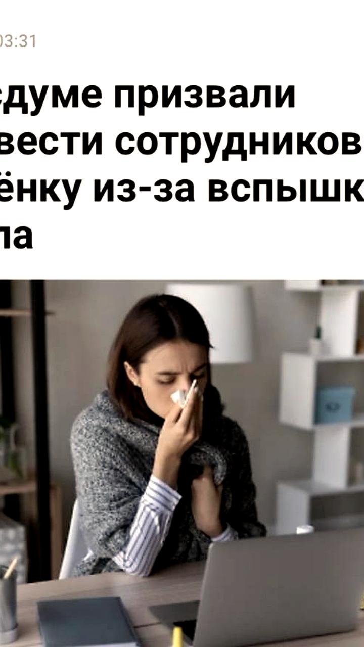 Госдума призывает перевести сотрудников на удаленку из-за вспышки гриппа
