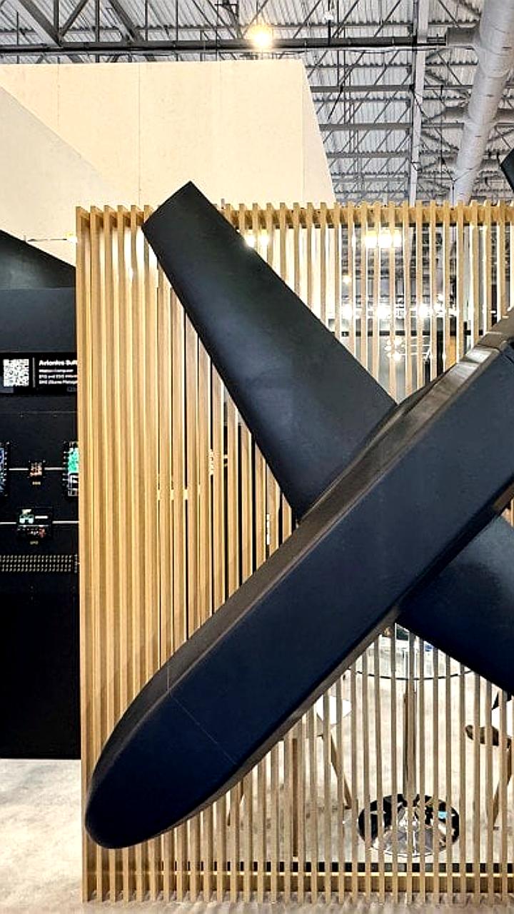 Чешская компания LPP готовит поставку крылатых ракет Narwhal для испытаний в Украине