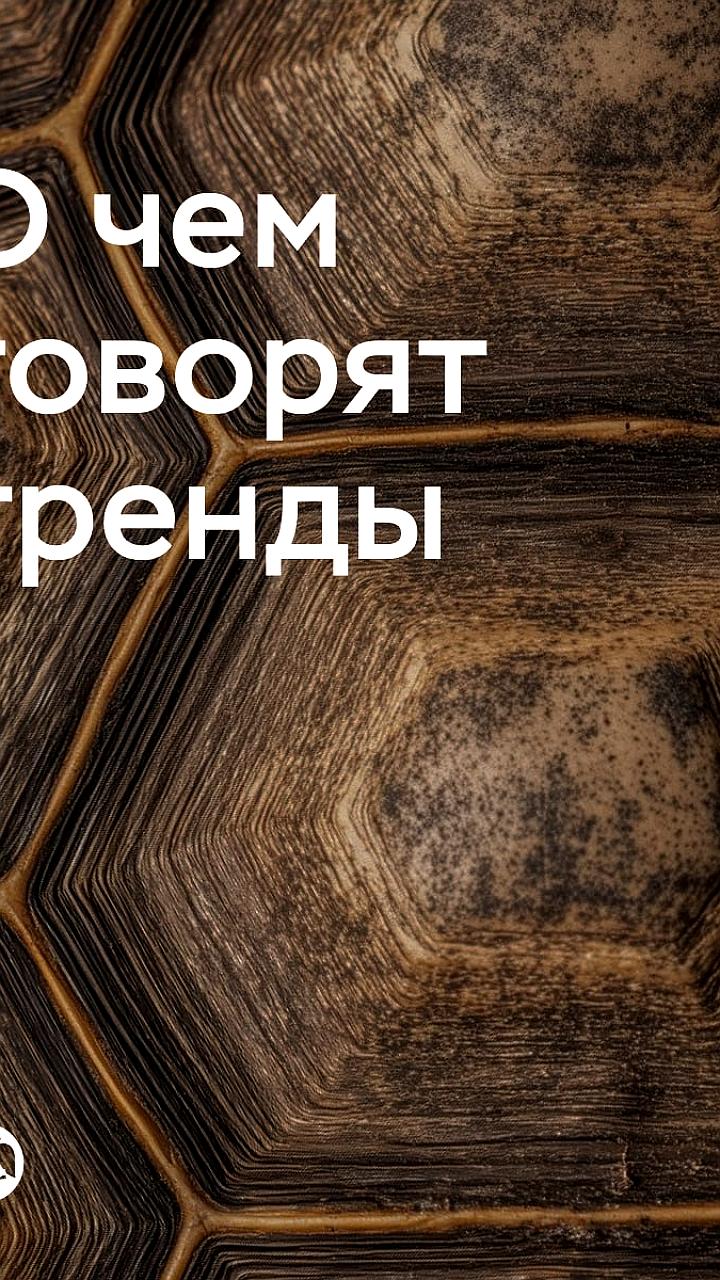 Замедление инфляции в России и рост инфляционных ожиданий в ноябре