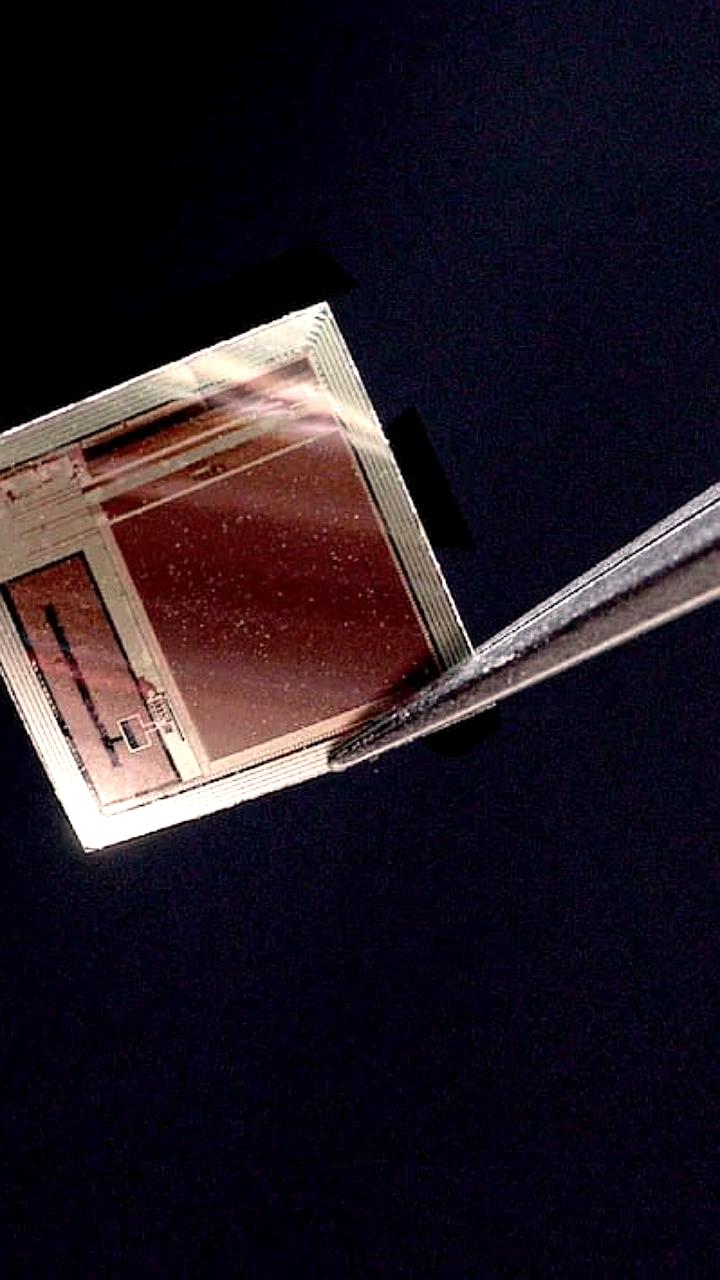 Ученые разработали миниатюрный нейроимплант BISC для высокоскоростной связи с мозгом