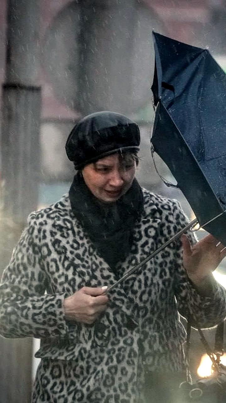 В Санкт-Петербурге введен желтый уровень погодной опасности из-за сильного ветра