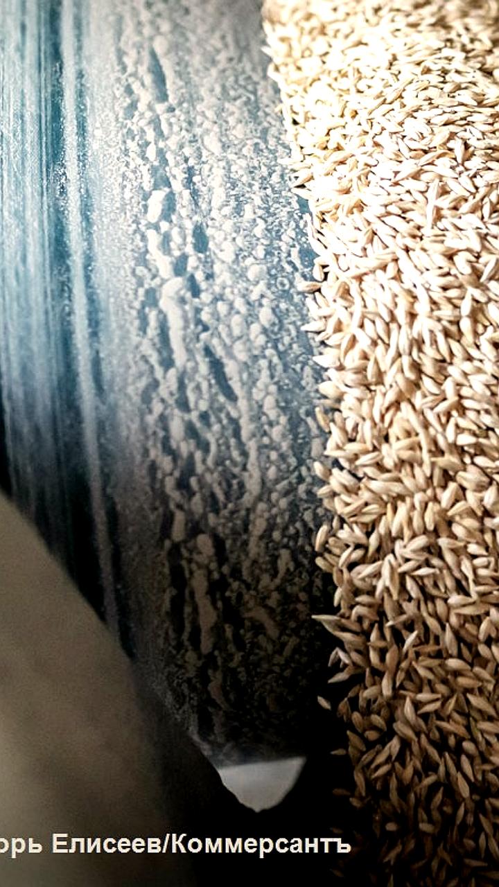 Суд в Москве рассмотрит иск Генпрокуратуры о запрете NCH Capital как экстремистской организации