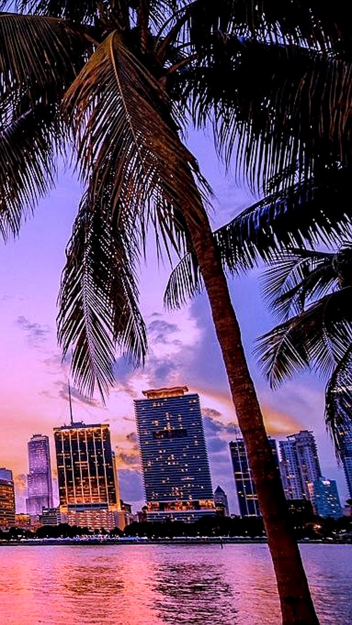 Эйлин Хиггинс становится первой женщиной и демократом на посту мэра Майами за 30 лет