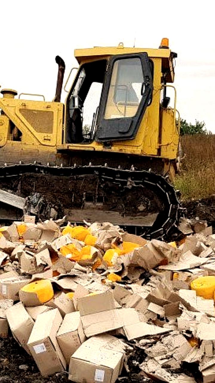 В Братске уничтожили санкционный сыр из Евросоюза