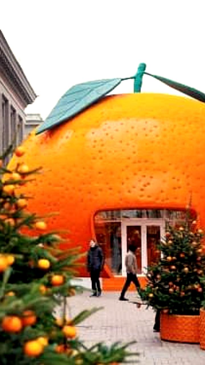 Зима в Москве: праздничные ярмарки и катки оживляют столицу