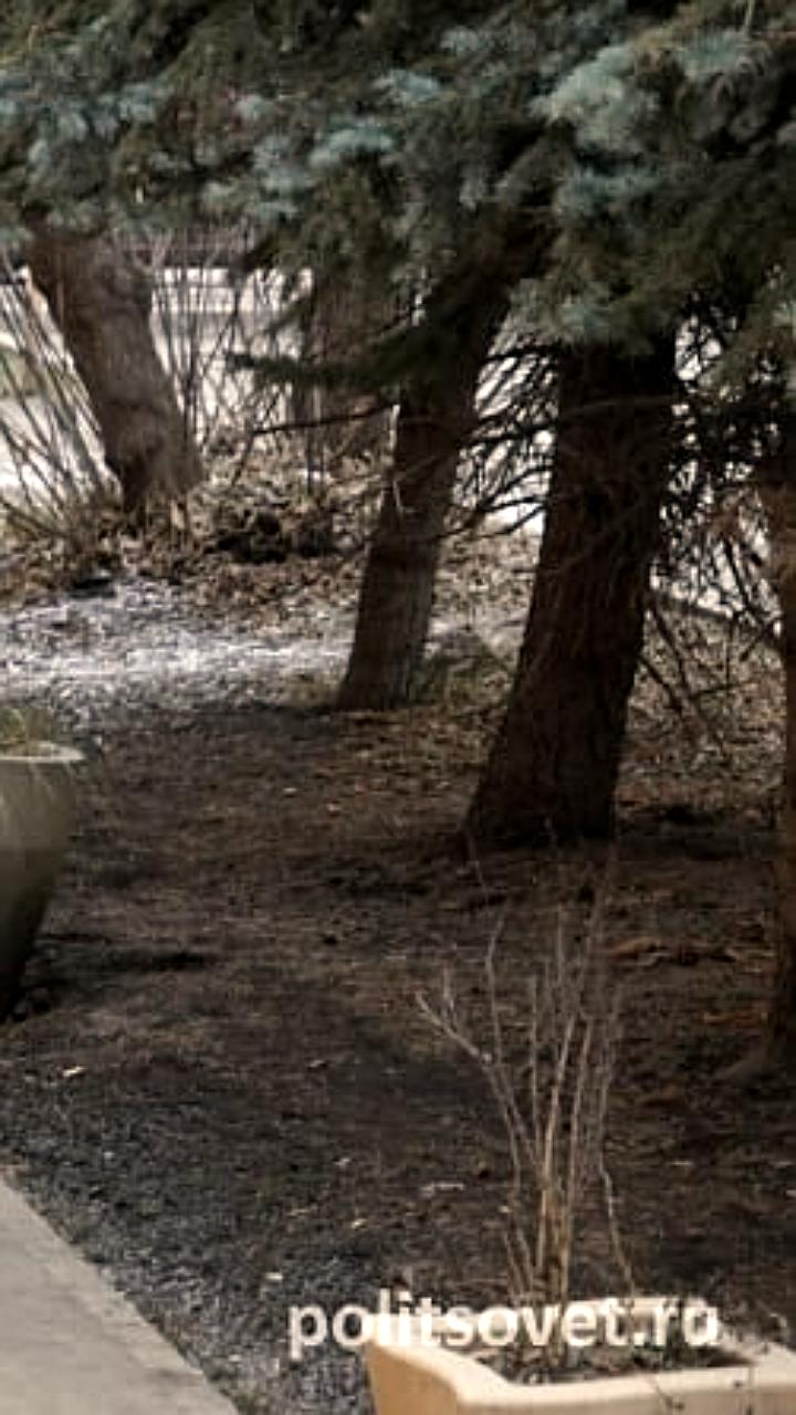 Глава Екатеринбурга Алексей Орлов о запрете самокатов и рисках электровелосипедов