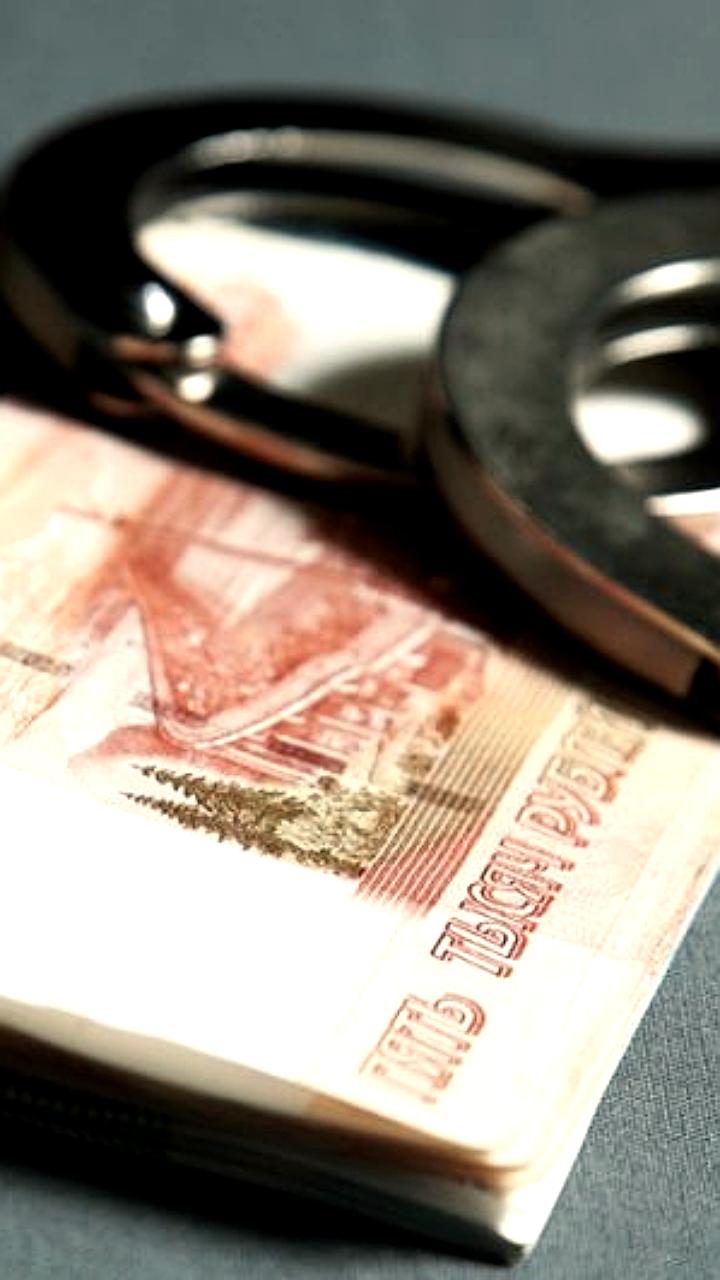 Жительница Киреевска и нижегородка обвиняются в мошенничестве и краже