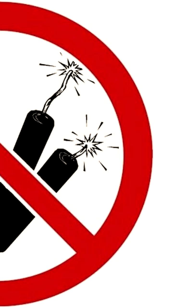 Меры пожарной безопасности при установке новогодней елки: рекомендации для москвичей и магаданцев