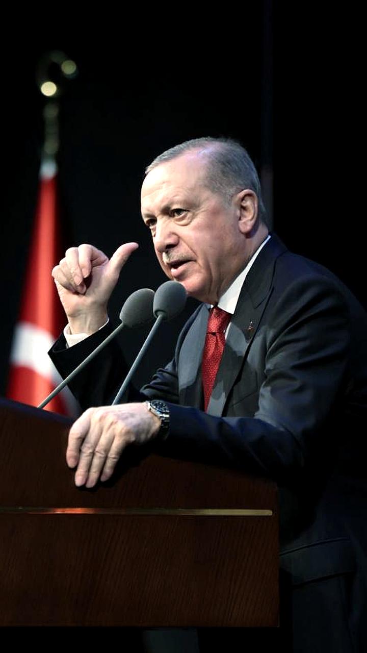 Эрдоган подчеркивает необходимость решения о двух государствах для мира в Газе