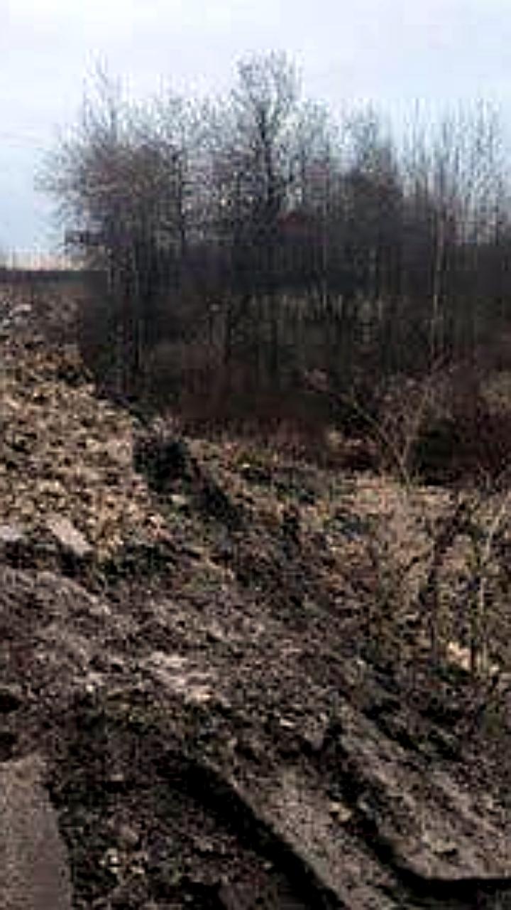 Следственный комитет проверяет загрязнение реки Утка в Петербурге