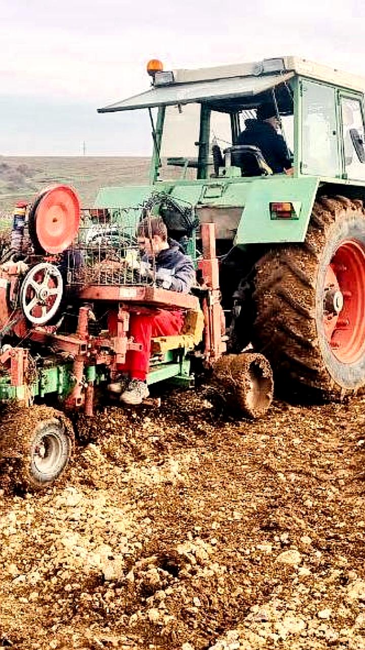 Господдержка виноградарства в Севастополе: 738 млн рублей на развитие и планы Минсельхоза на 2026 год