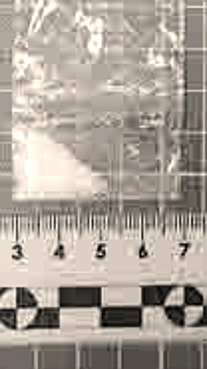 Иностранный гражданин осуждён на 8 лет за попытку сбыта наркотиков в Петропавловске-Камчатском