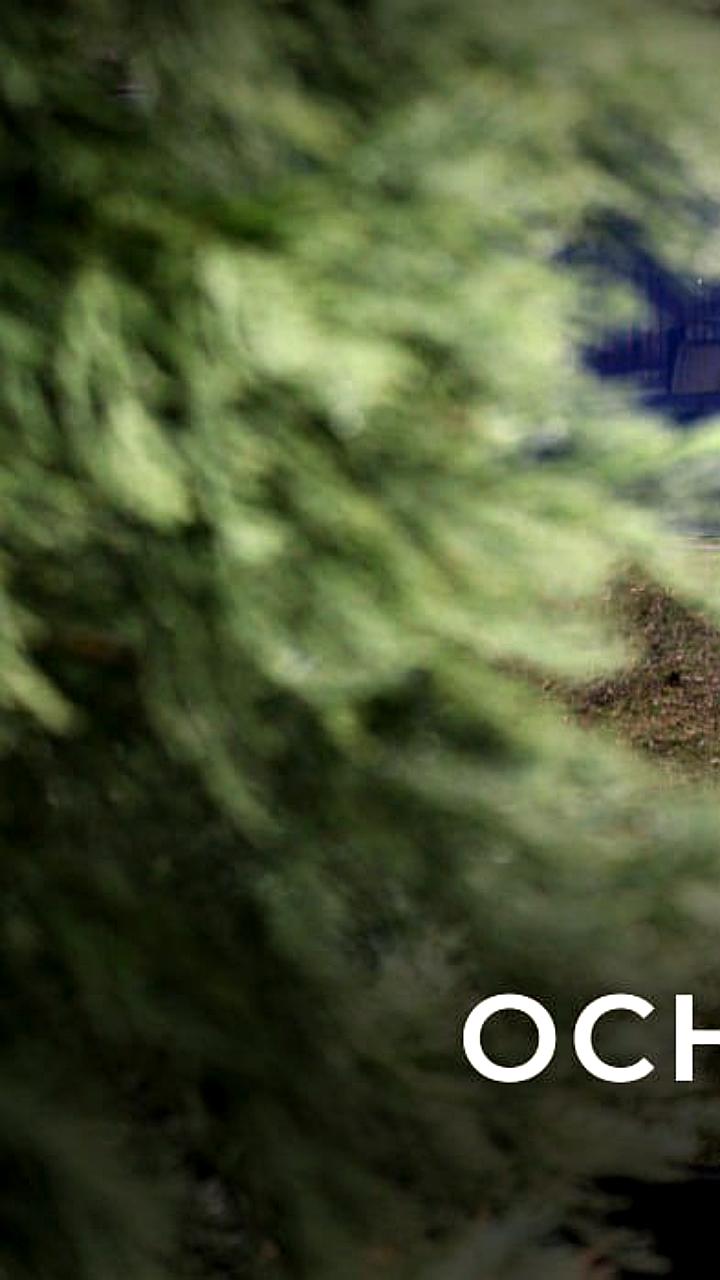 ЮНИСЕФ отмечает 79 лет работы в поддержке детей и подростков