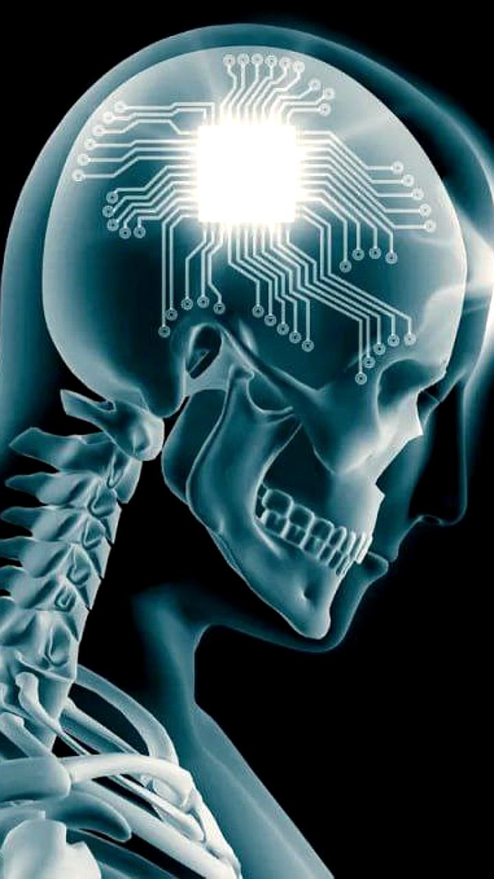 Ученые из Университета Западного Сиднея исследуют синхронизацию мозговой активности при совместной работе