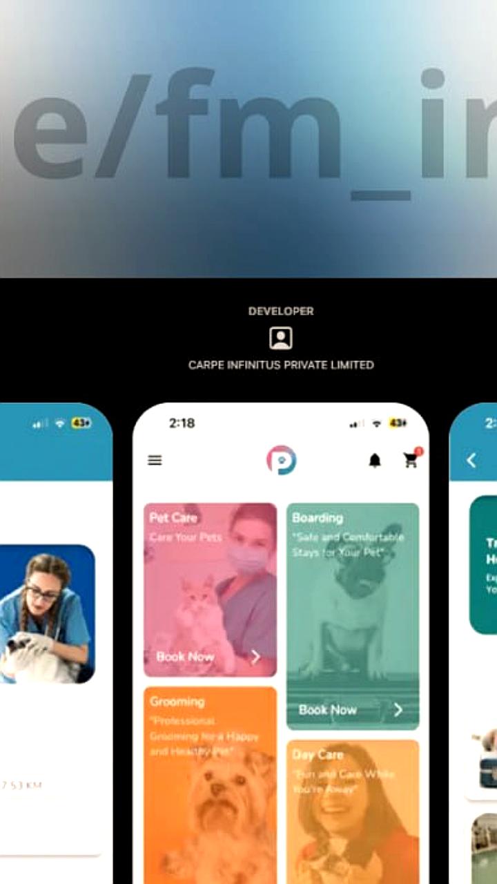 СберИнвестиции представили обновленное приложение Petfolio для инвесторов в App Store