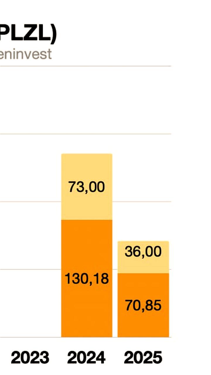 Акционеры ПАО Полюс утвердили дивиденды за III квартал