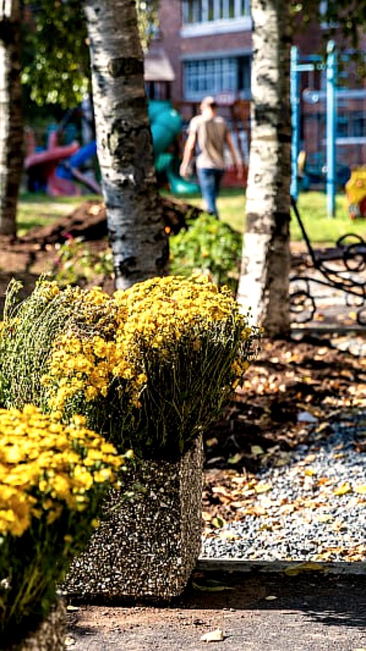 Владивосток: рост общественных инициатив и успешные проекты ТОС