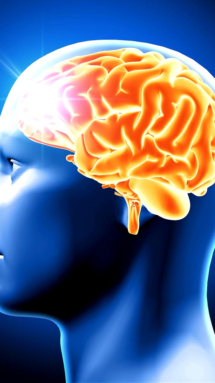 Ученые выяснили, что стресс может улучшать память