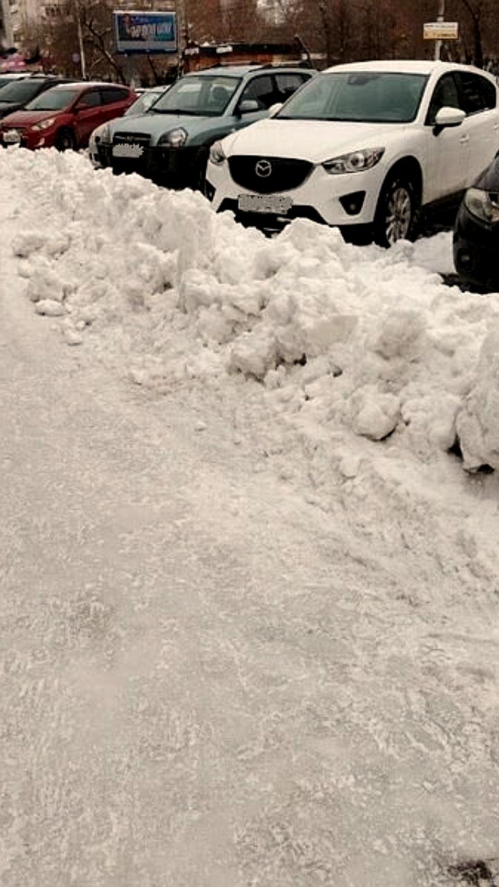 В Петербурге и Новосибирске внедряют нейросети для контроля благоустройства