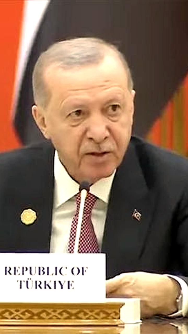 Эрдоган и Рашид поддерживают дипломатические усилия для прекращения конфликта в Украине