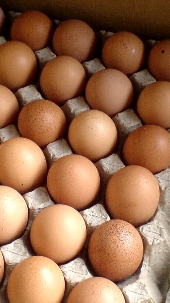 Казахстан вводит полугодовой запрет на вывоз лесоматериалов с 12 декабря 2025 года