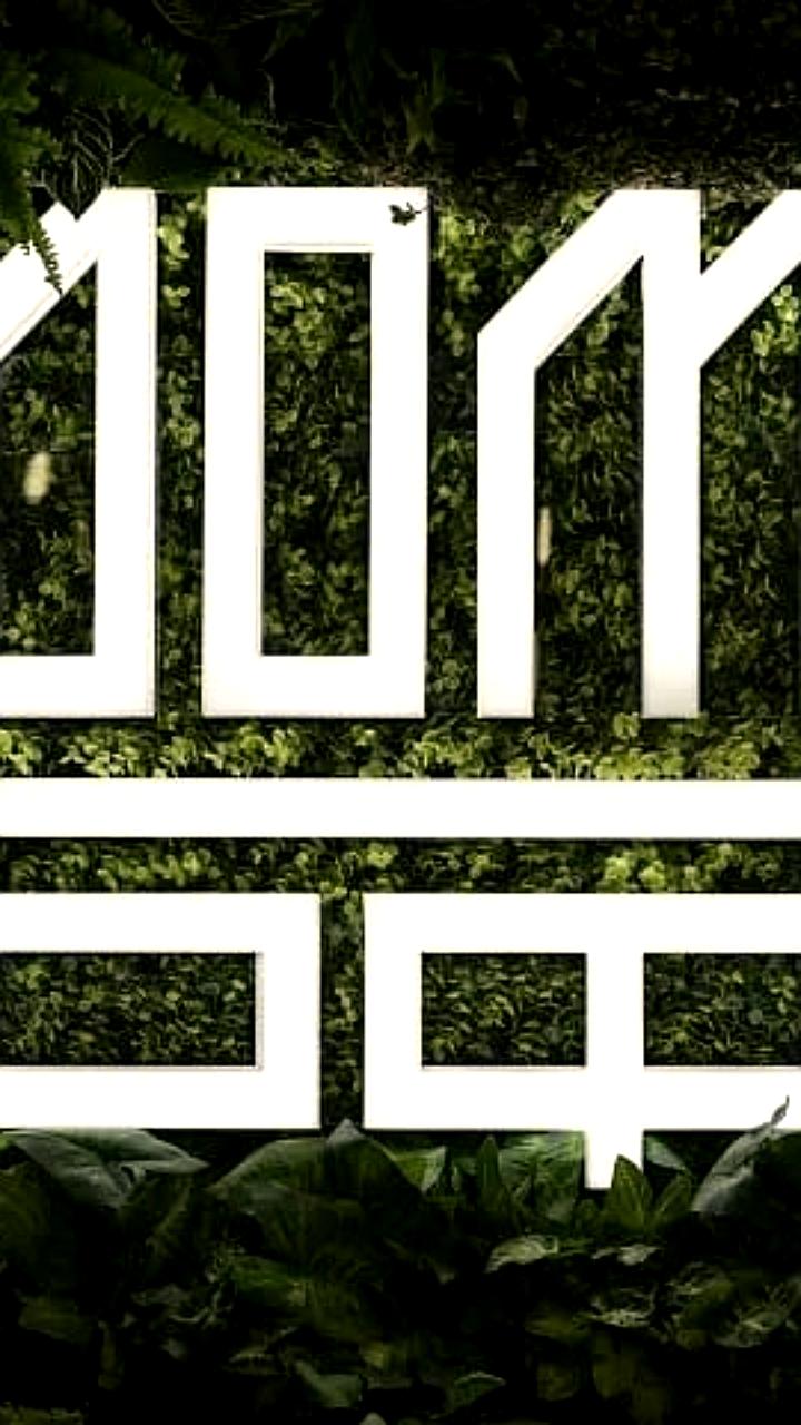 ДОМ РФ прогнозирует рост чистой прибыли и дивидендов на 2025 год